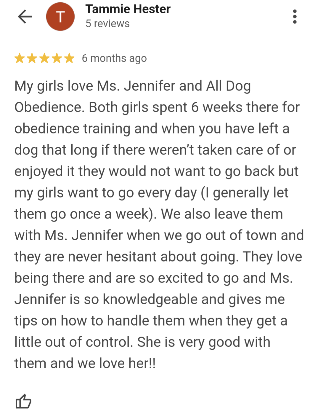 Dog Training Review